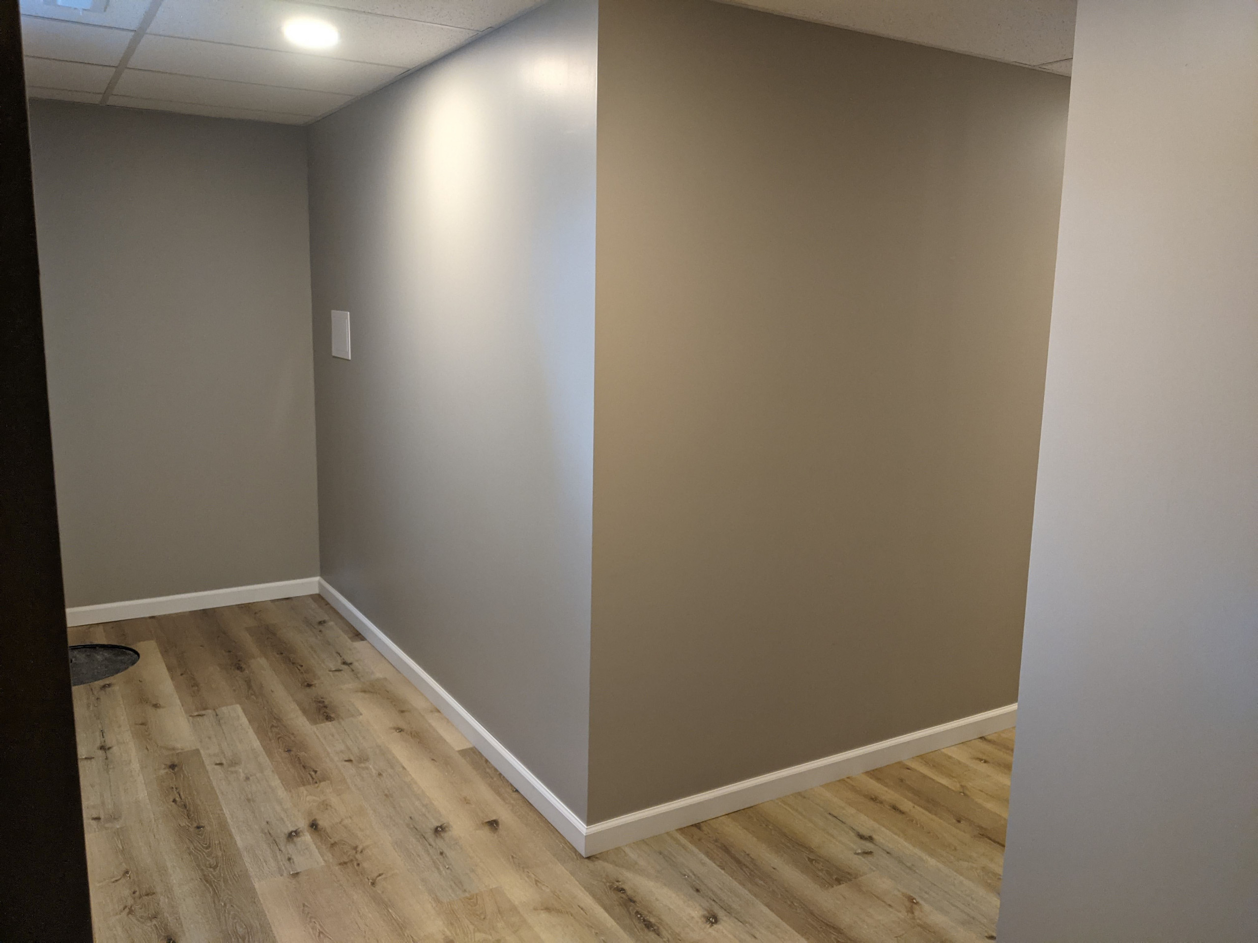 Basement Remodel