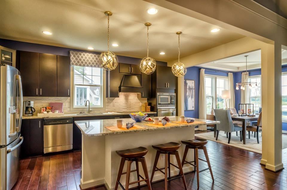 Photo of a beach style single-wall eat-in kitchen in DC Metro with dark wood cabinets, granite benchtops, beige splashback, stainless steel appliances, medium hardwood floors and with island.
