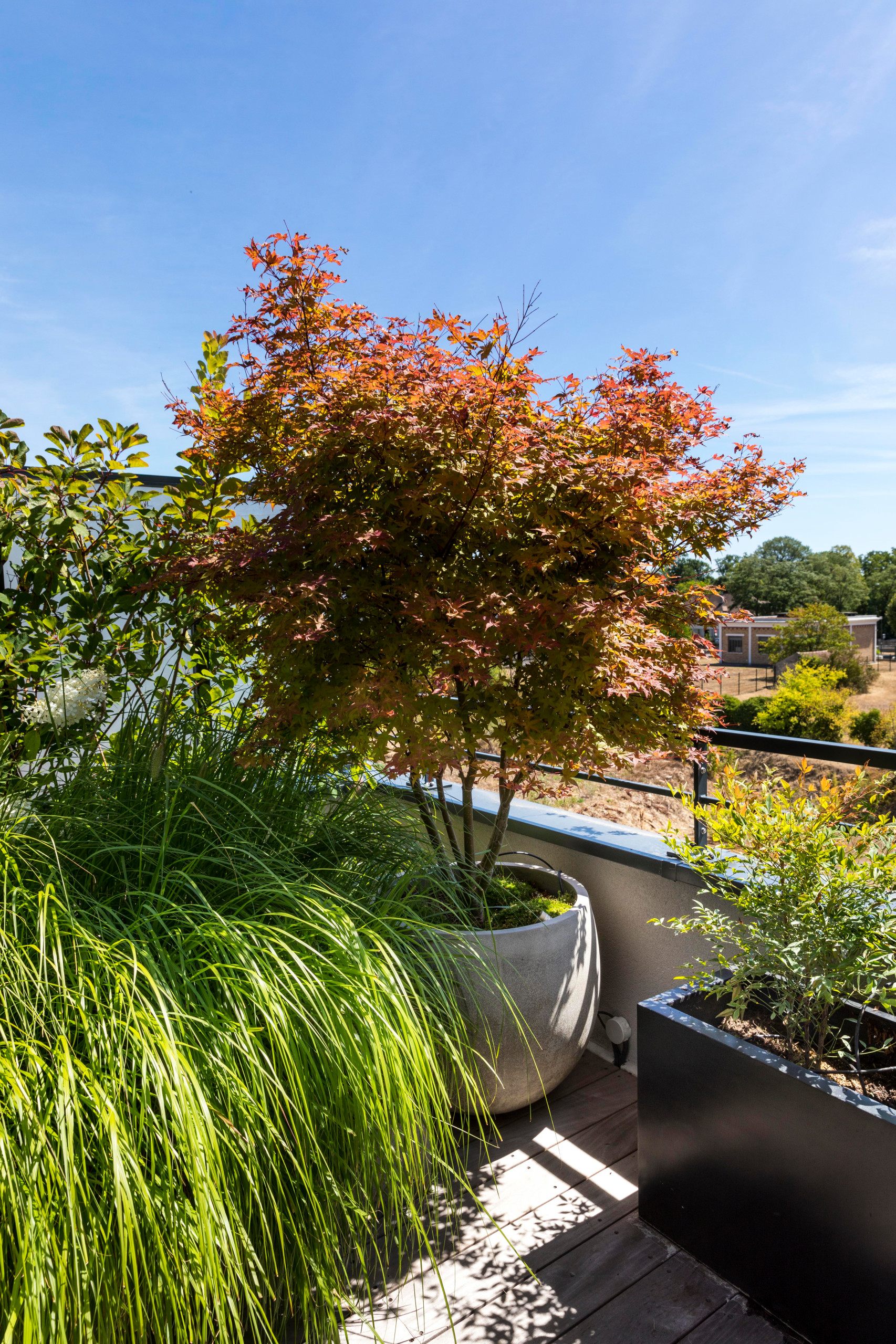 une terrasse foisonnante!