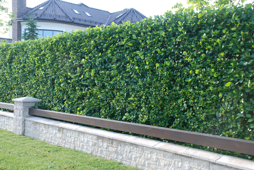 Семейный сад в Миллениум Парк