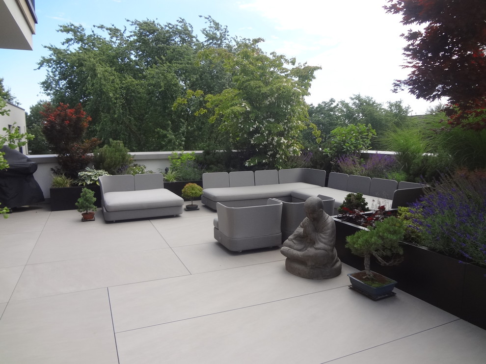 Dachterrasse auf dem Dach mit Kübelpflanzen in Hamburg
