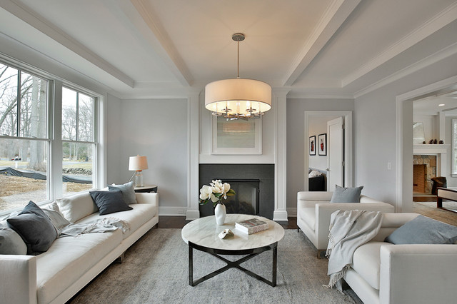 Transitional Living Room transitional-living-room