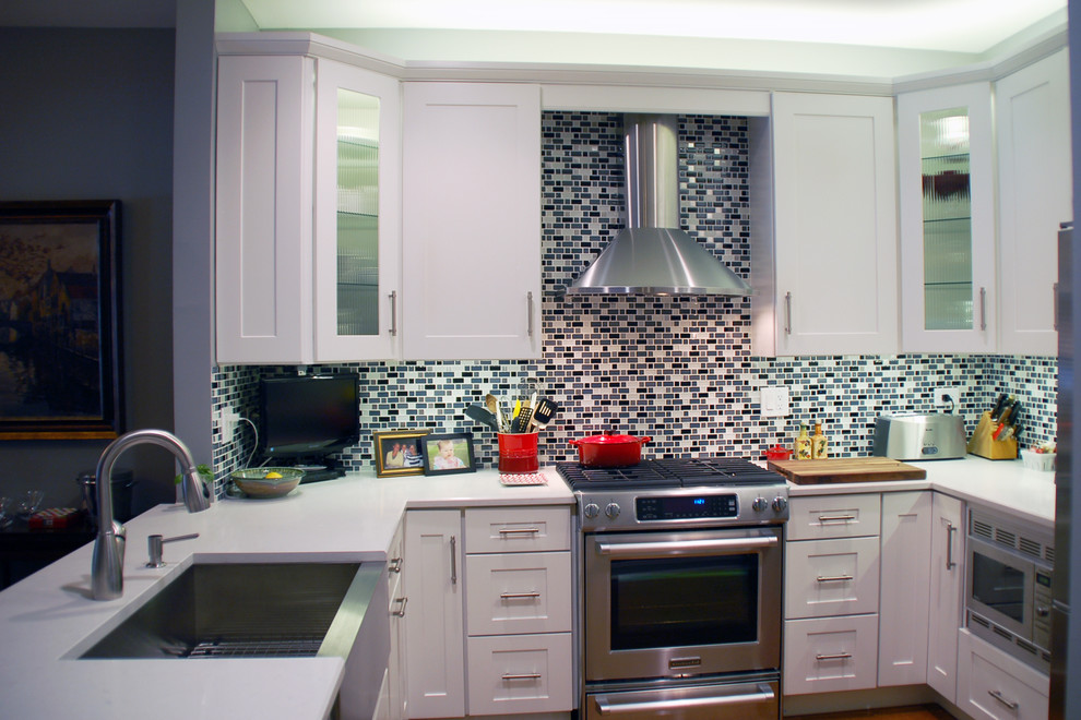 Kitchen - transitional kitchen idea in Chicago