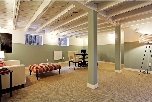 Staged Green Canopy Homes Teresa Contemporary Basement