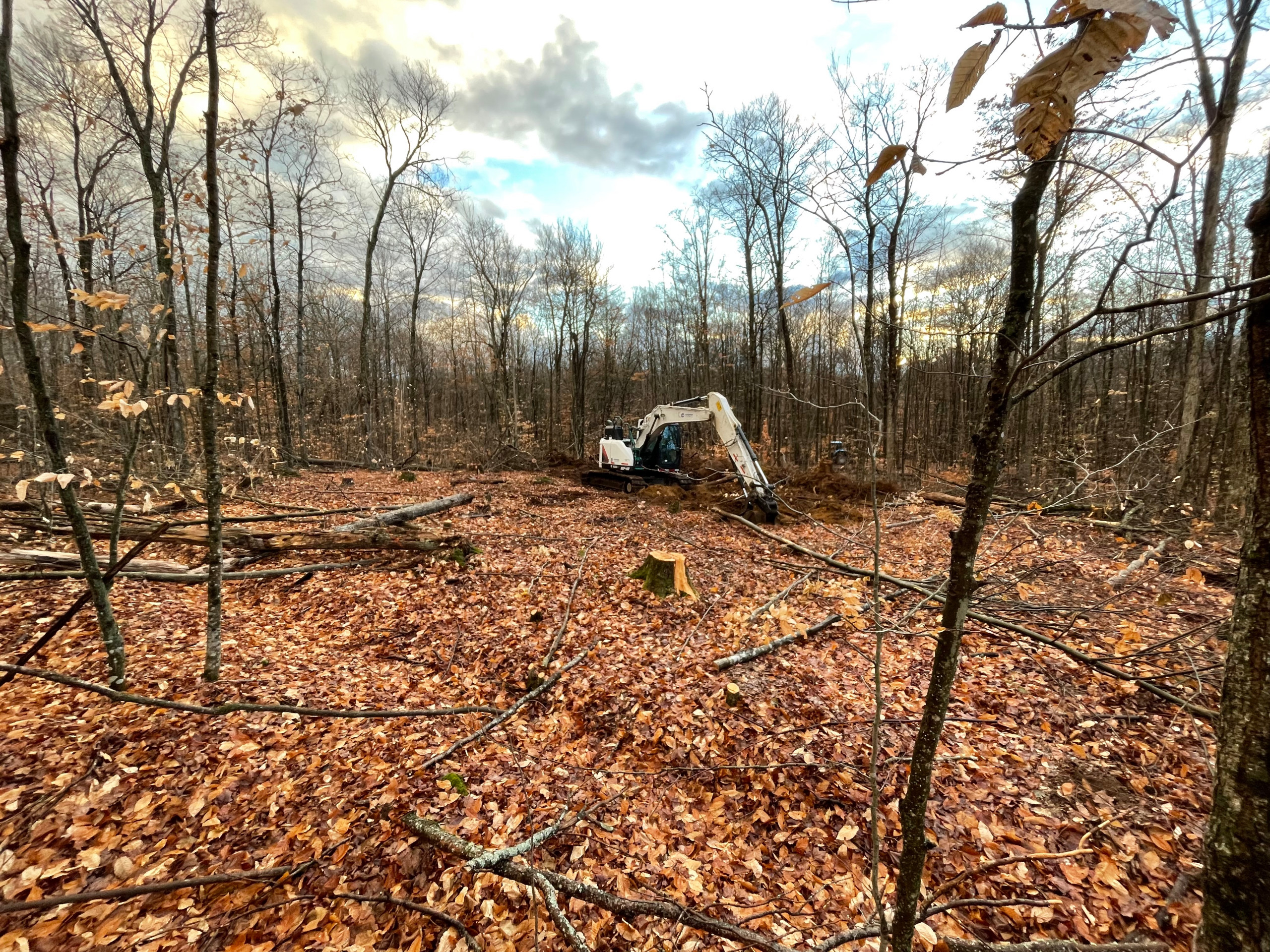 Land Clearing