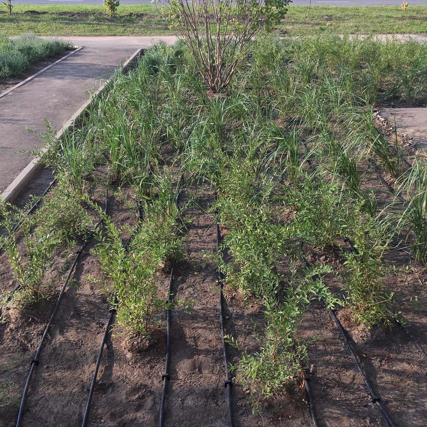 мкр Новый город