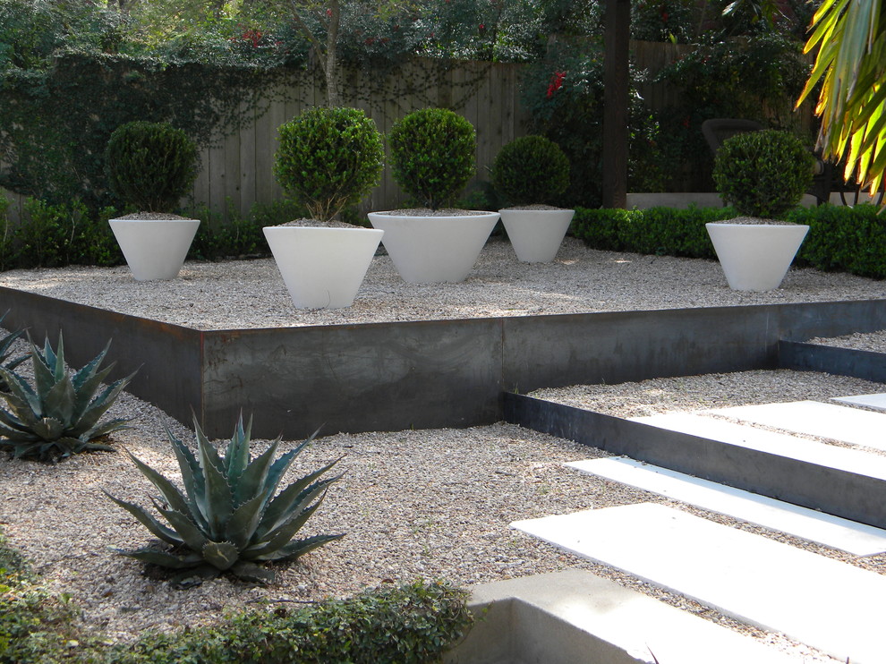 Photo of a modern backyard garden in Austin with gravel.