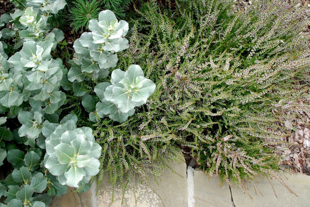 Деталь композиции на подпорной стенке