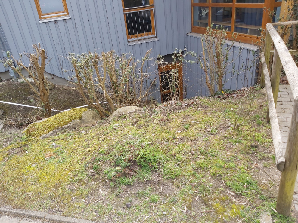 Immagine di una piccola aiuola country esposta in pieno sole nel cortile laterale in primavera con recinzione in legno