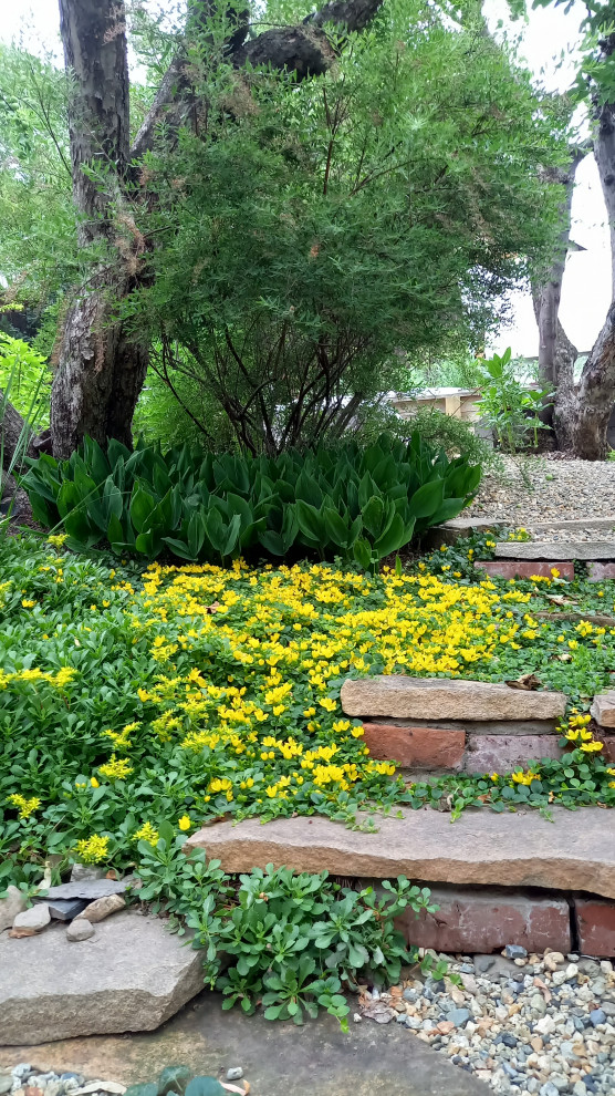 Сад для ландшафтного дизайнера.