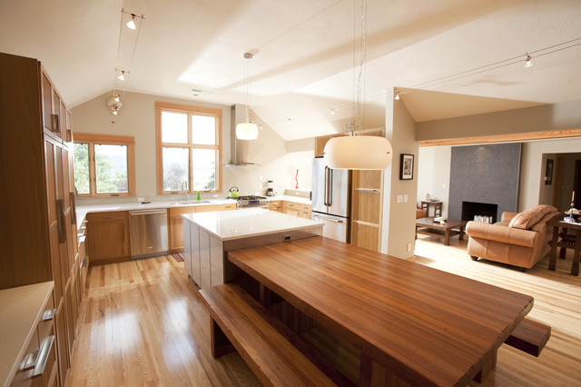Contemporary Kitchen contemporary-kitchen