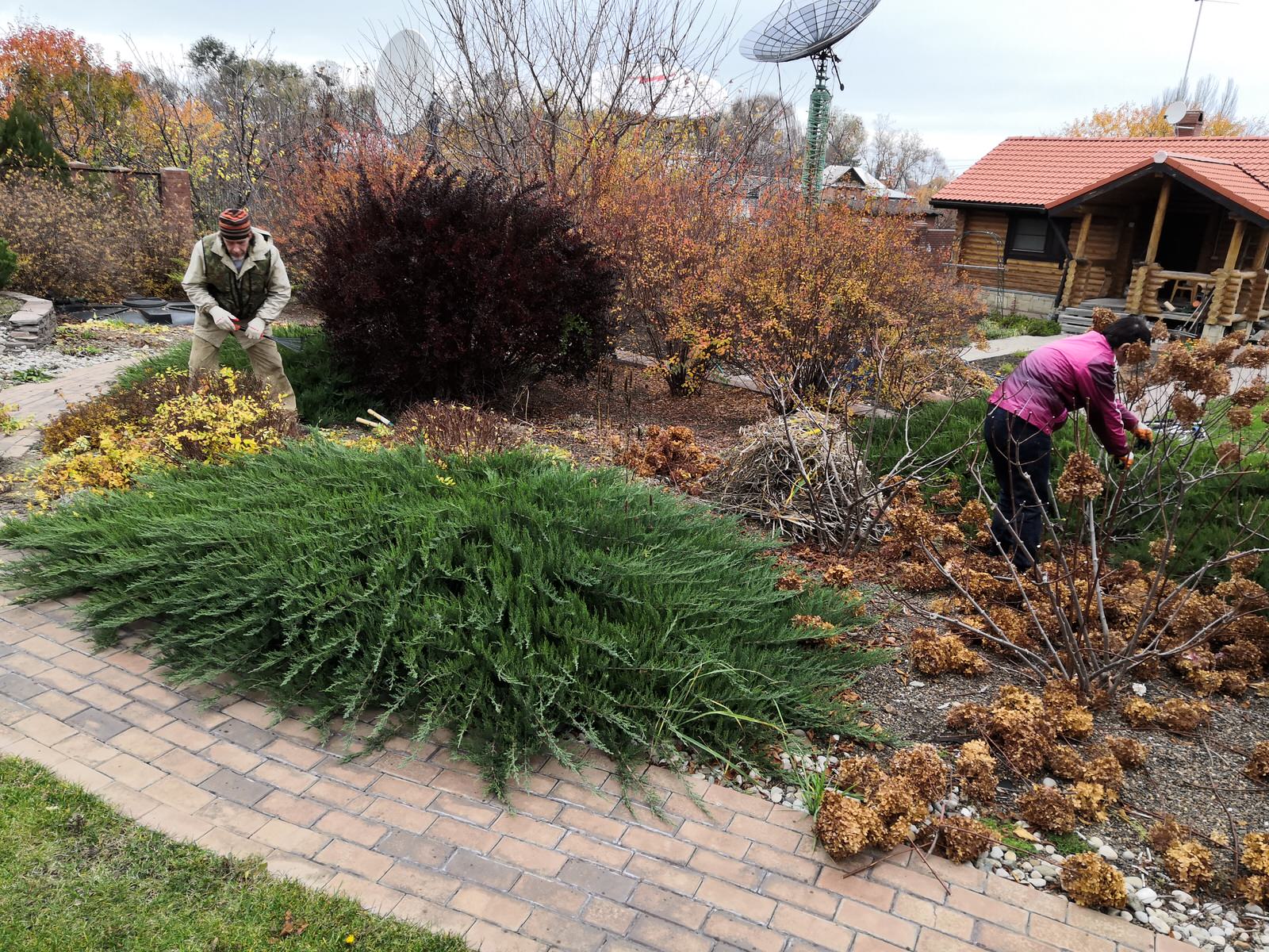 Уходные работы в саду
