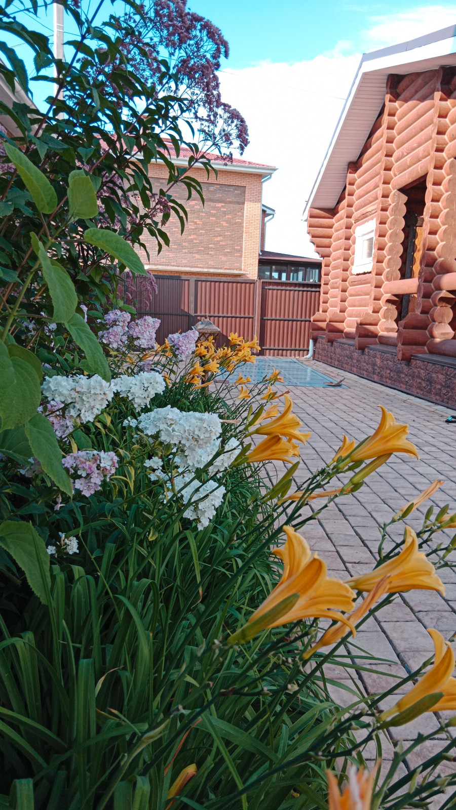 Серебрянный бор