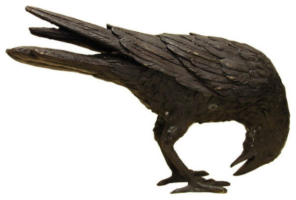 Black Raven, D