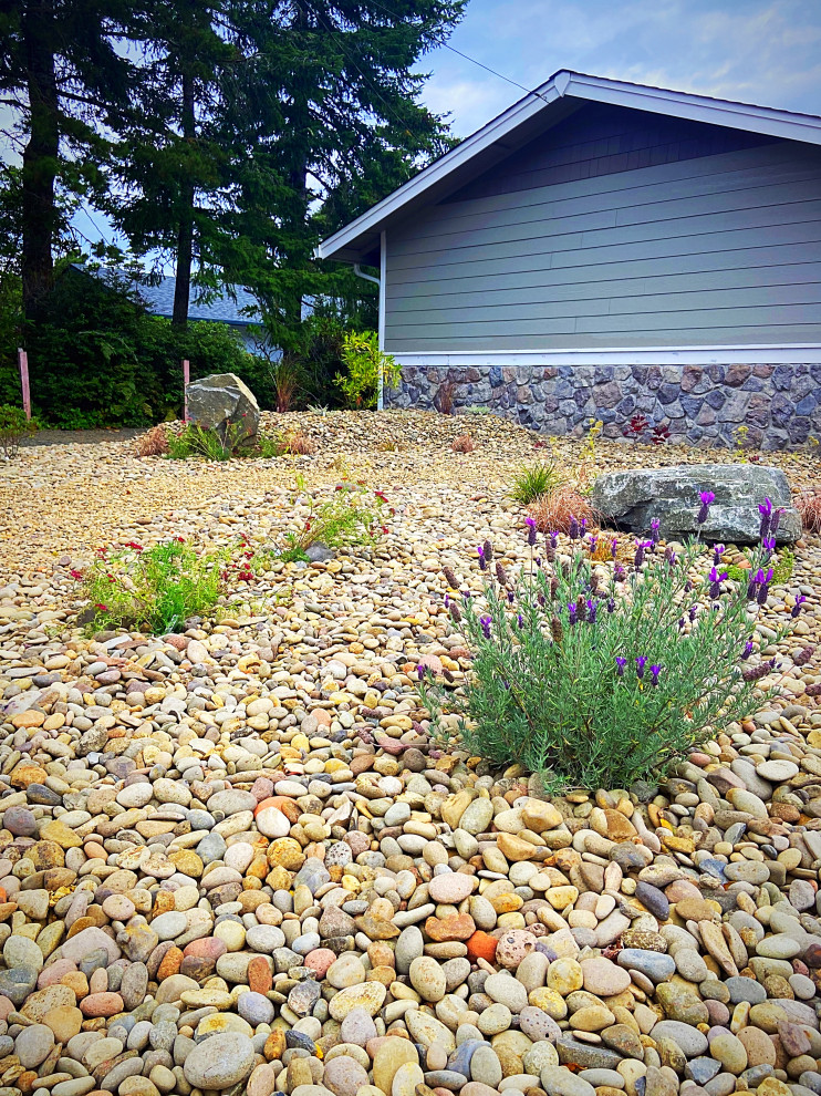This is an example of a large beach style front xeriscape full sun garden in Portland with a rockery and decorative stones.