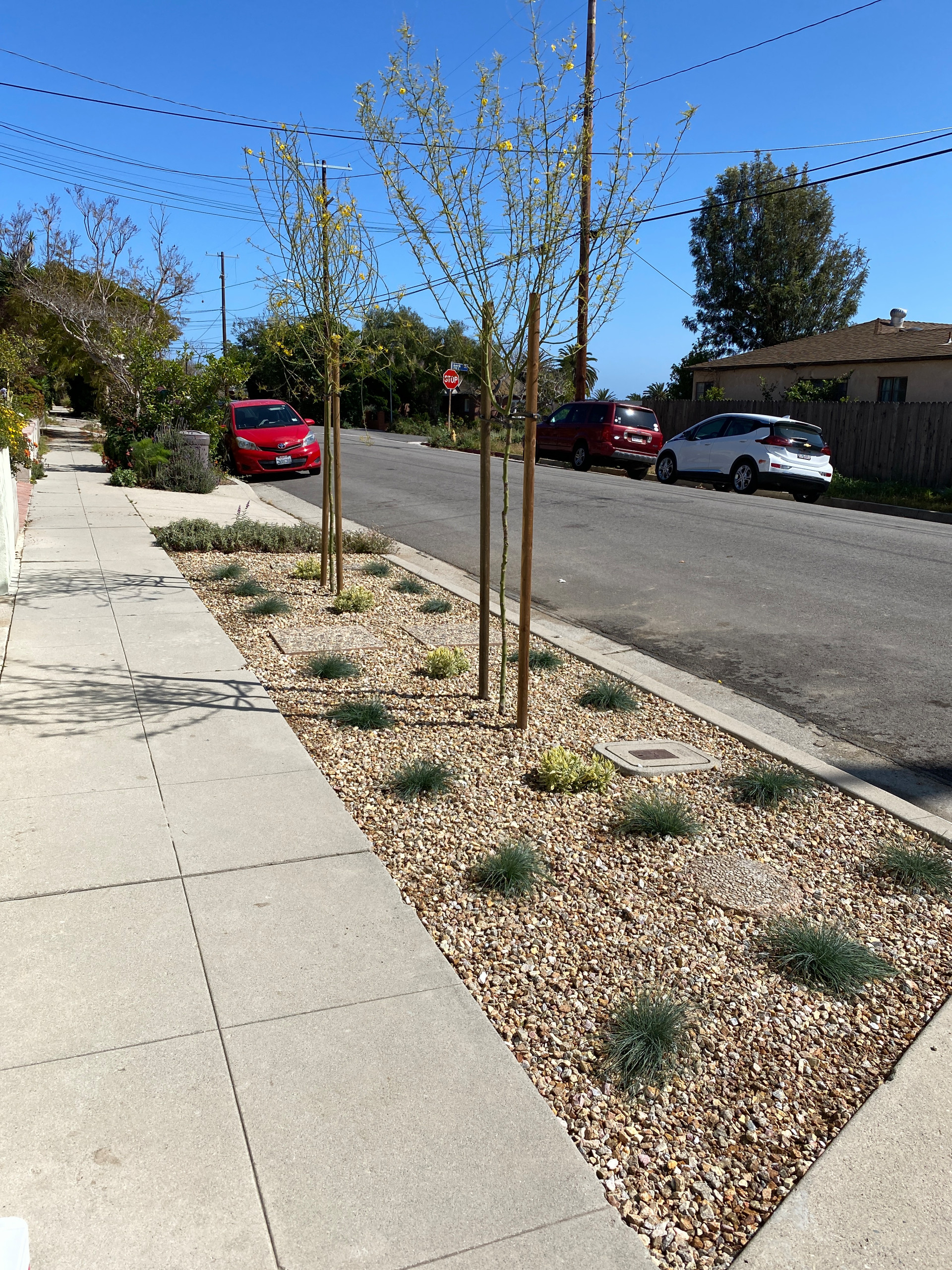 San Pedro, CA: Palm Springs Mid-Mod by the Beach