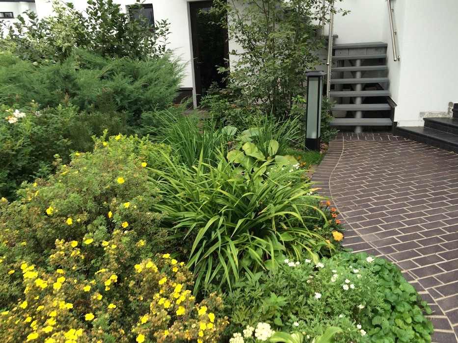 Новорижское шоссе. 16 соток.