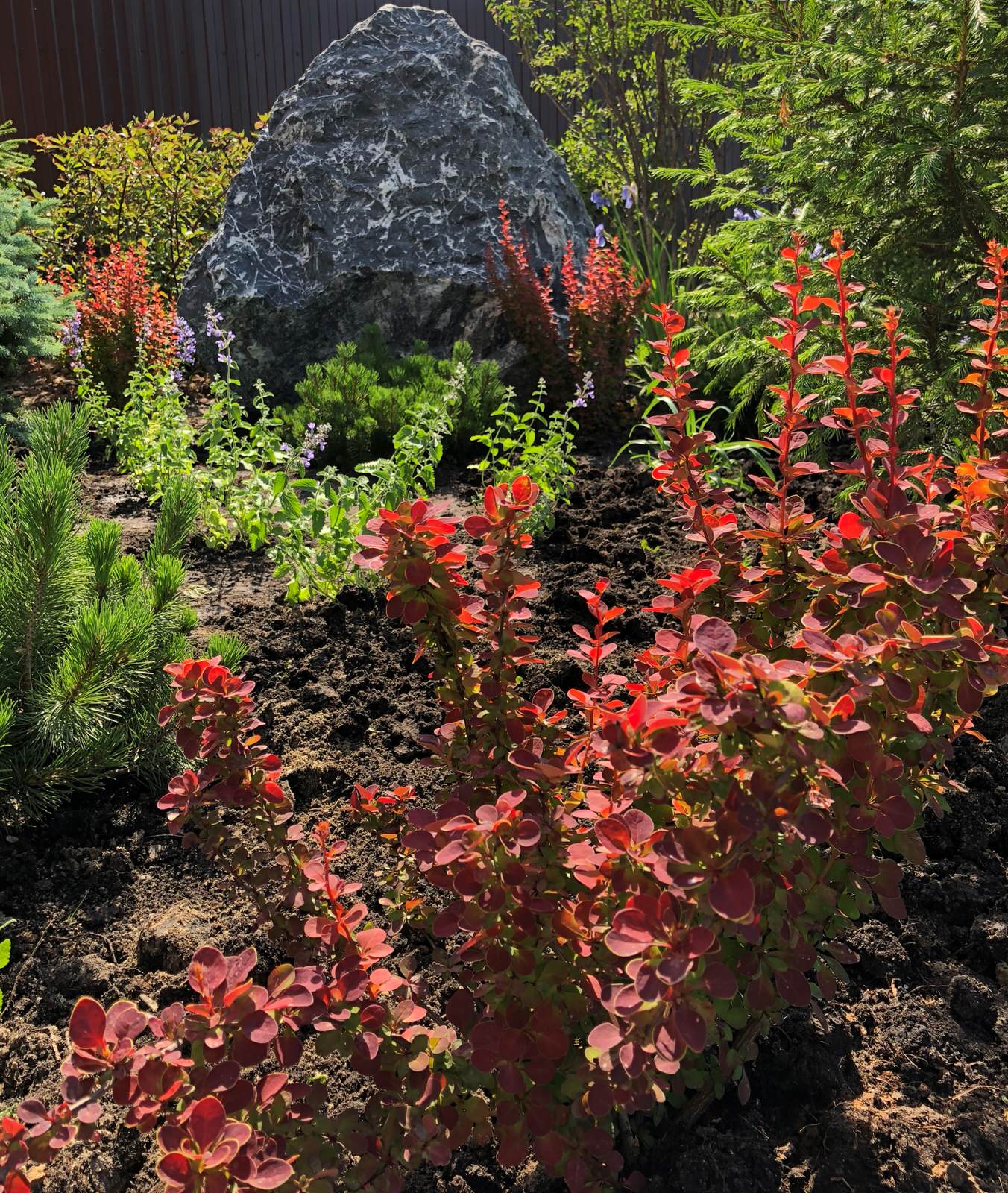 Роман с камнем