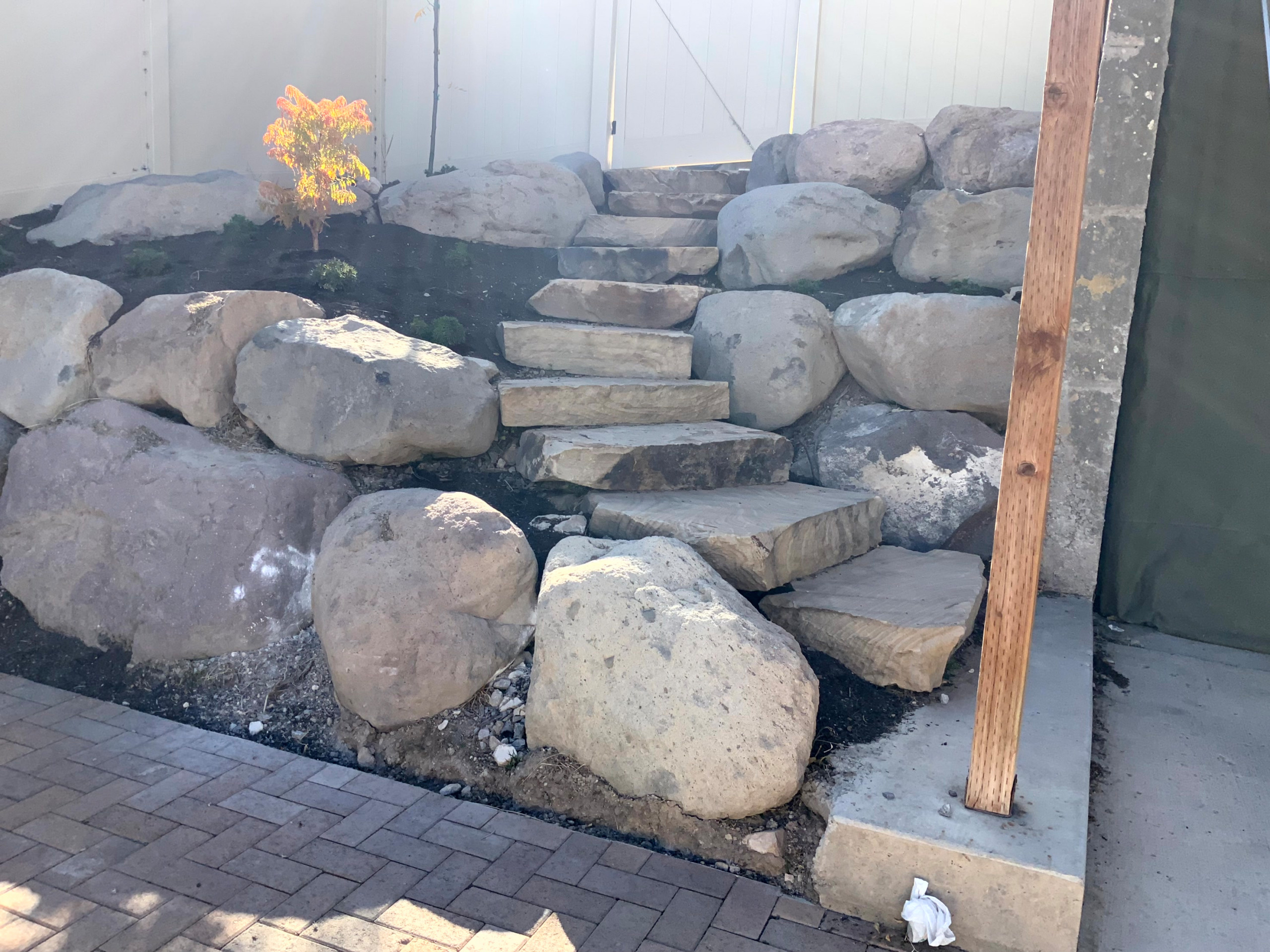 Low Maintenance English Garden