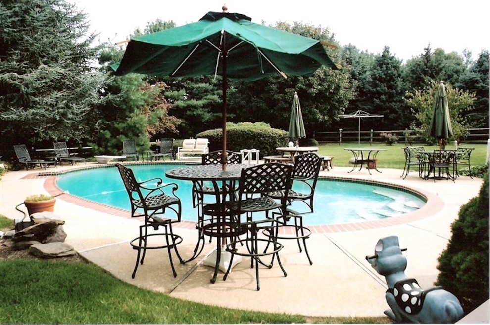 Mid-sized backyard concrete paver and custom-shaped lap pool photo in Baltimore