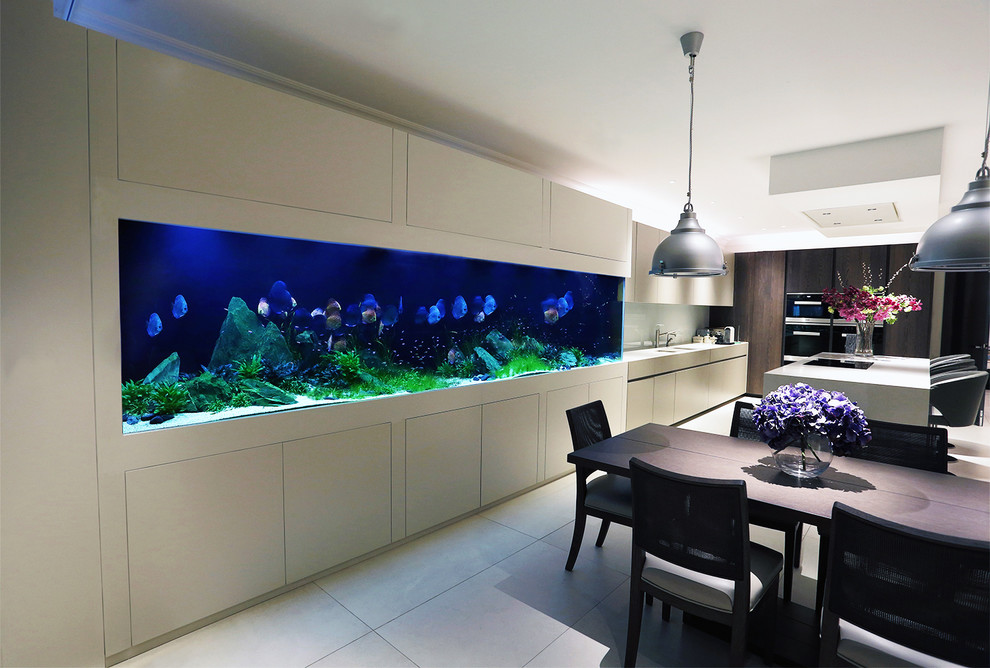 fish tank in dining table