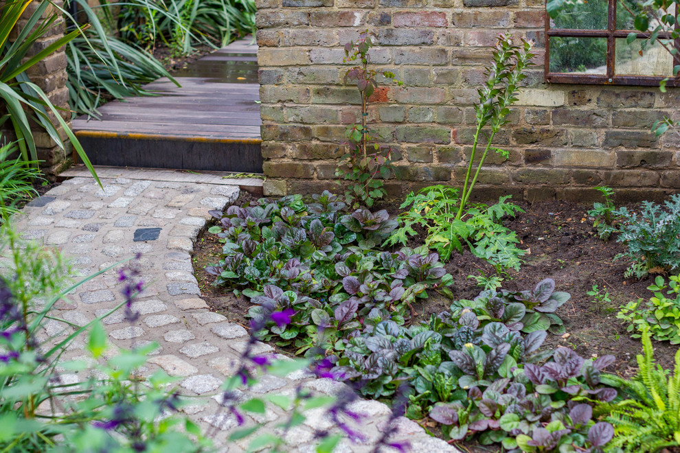 Medium sized contemporary garden in London.