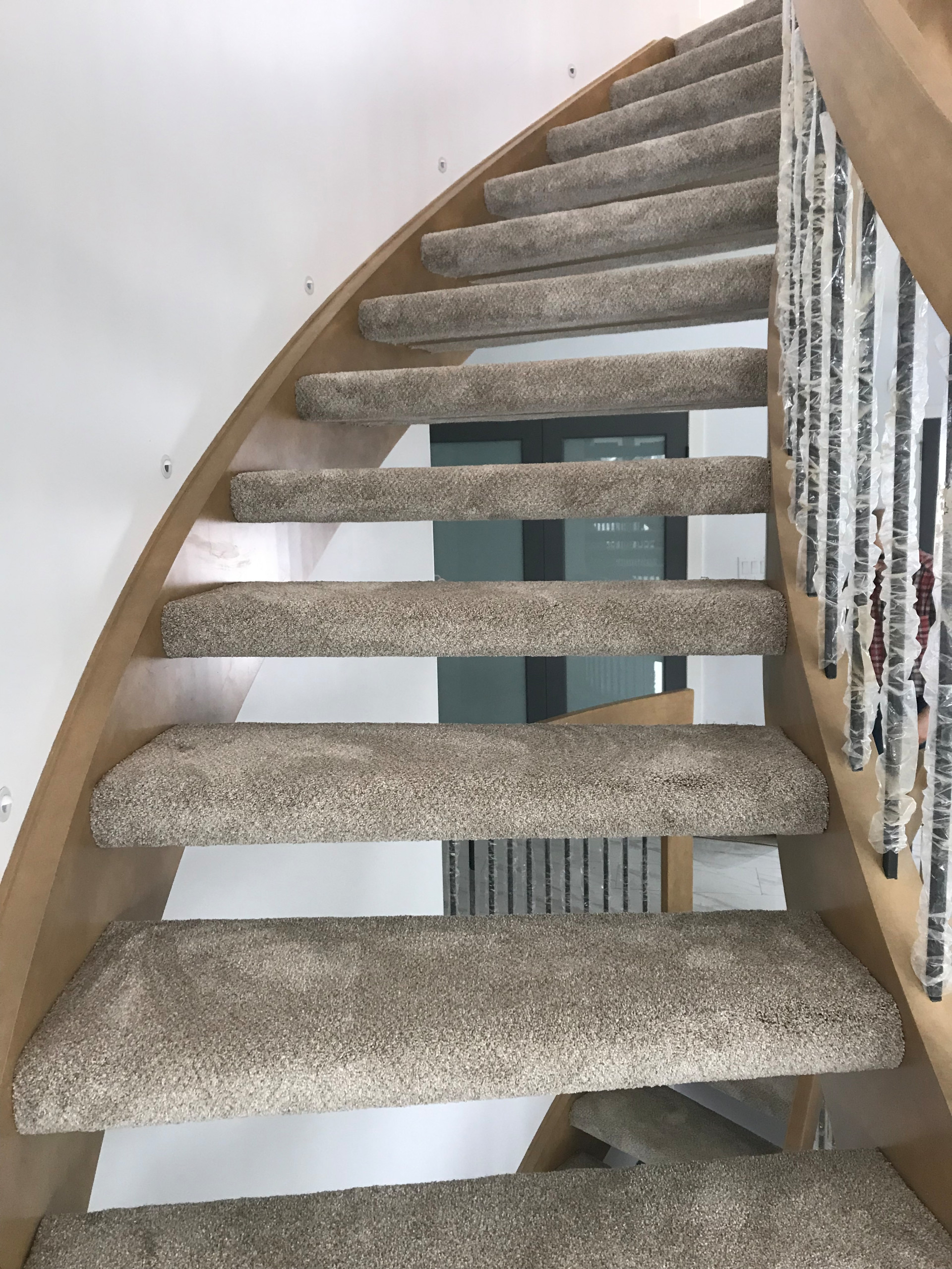 Carpet