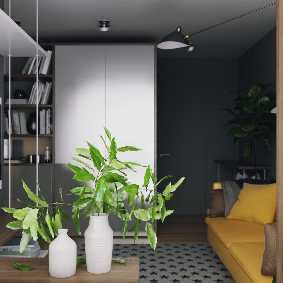 функциональные 23м2