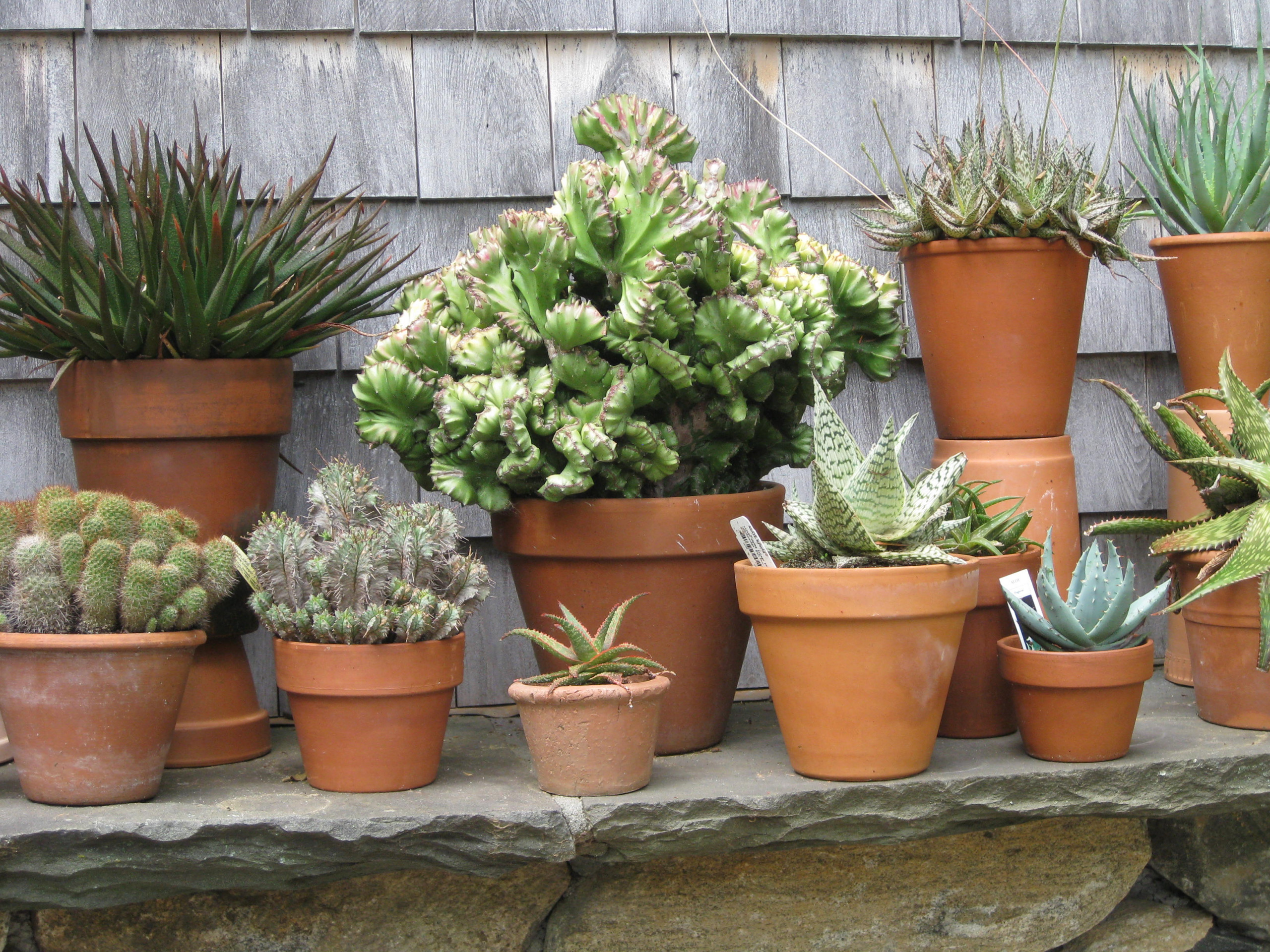 Potted Gardens