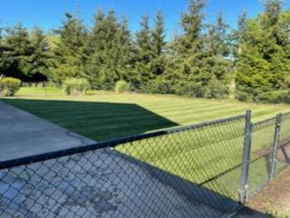 Turf/Artificial Grass Installation