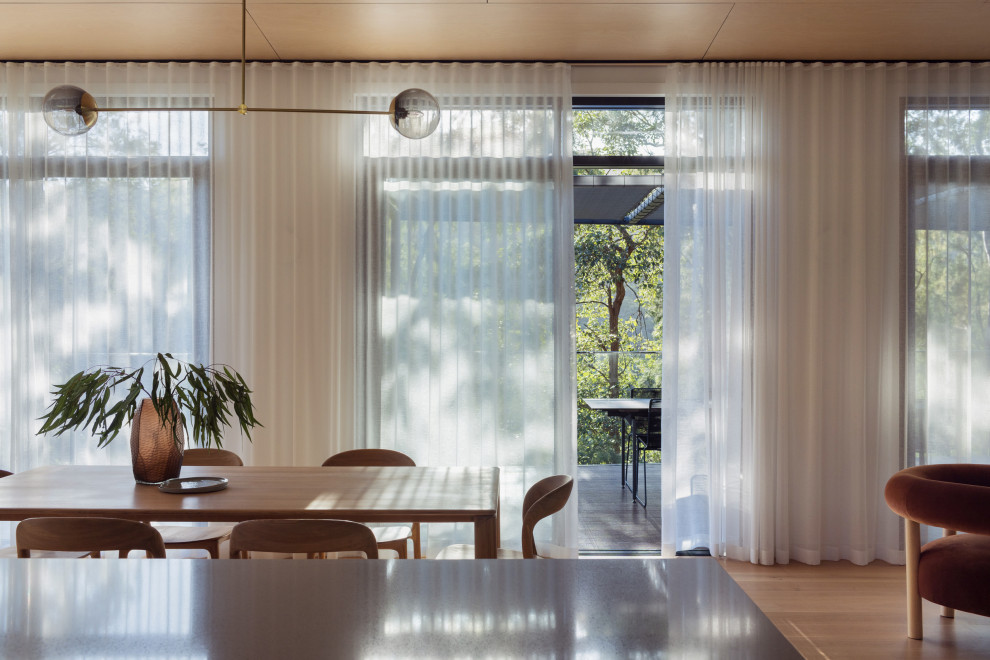 Mittelgroßes, Fernseherloses, Offenes Modernes Wohnzimmer ohne Kamin mit hellem Holzboden und Holzdielendecke in Sydney
