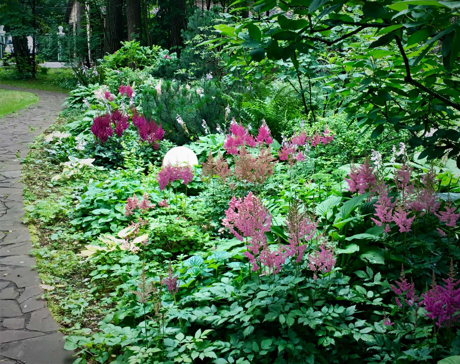 Академическая дача