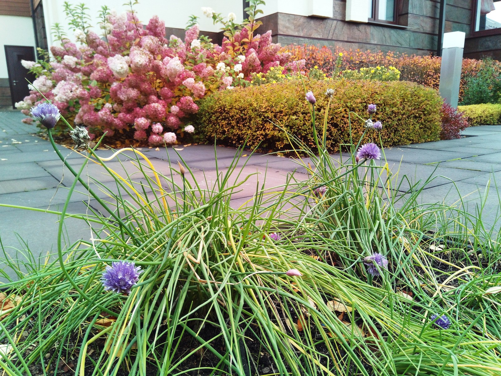 кп "Мартемьяново" - Профессиональный уход за садом - 100% качество!