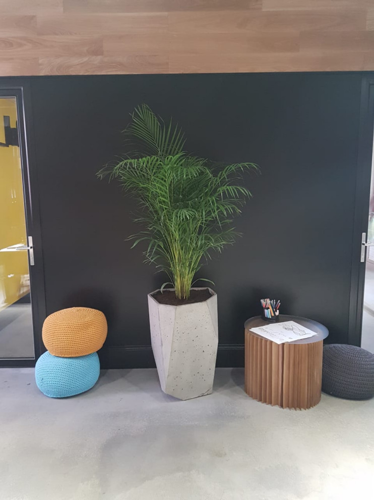 Озеленение офиса