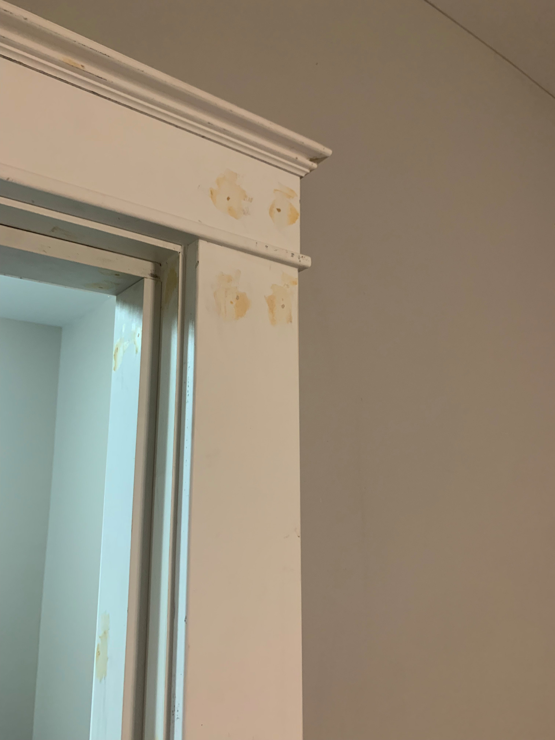 Window and Door Casing