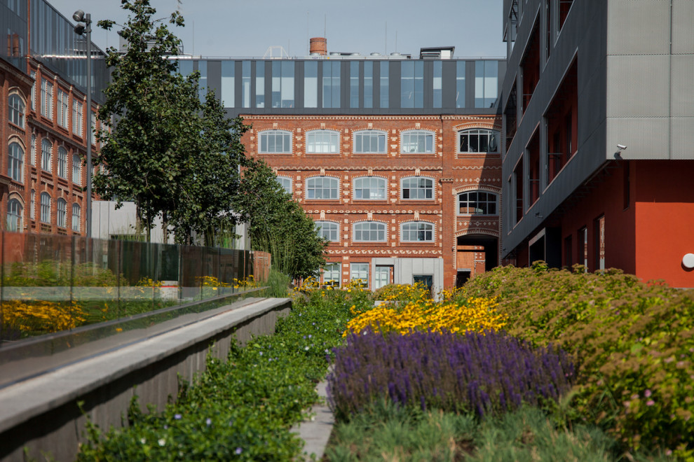 Bolshevik Factory / John McAslan + Partners