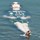 david_parry46