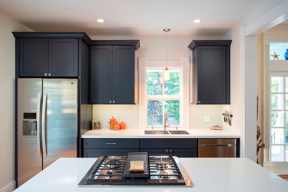 Kitchen - transitional kitchen idea in Miami