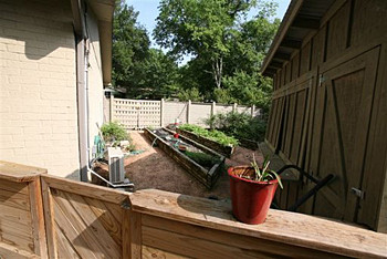 garden before