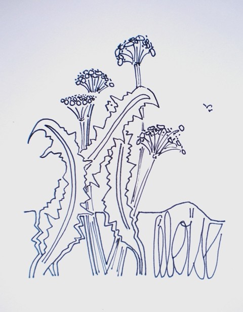 VEGETAL classique