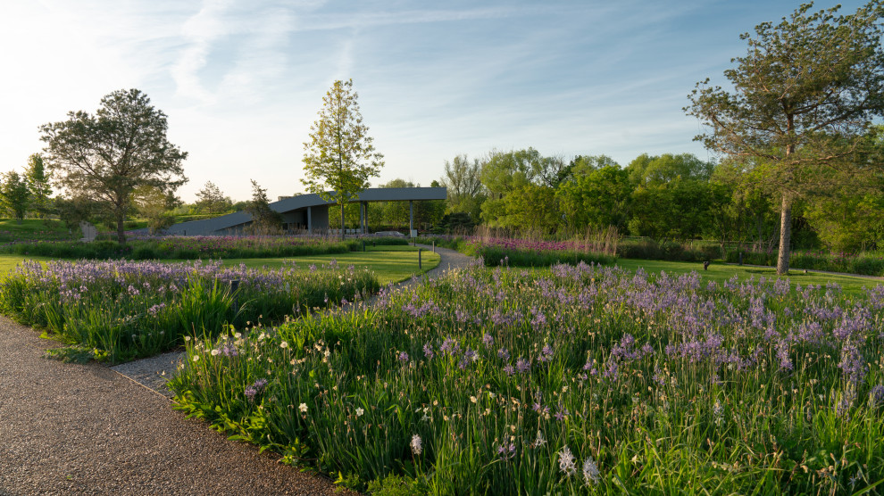 Природный сад. Жуковка XXI век. 2017-2018 гг.