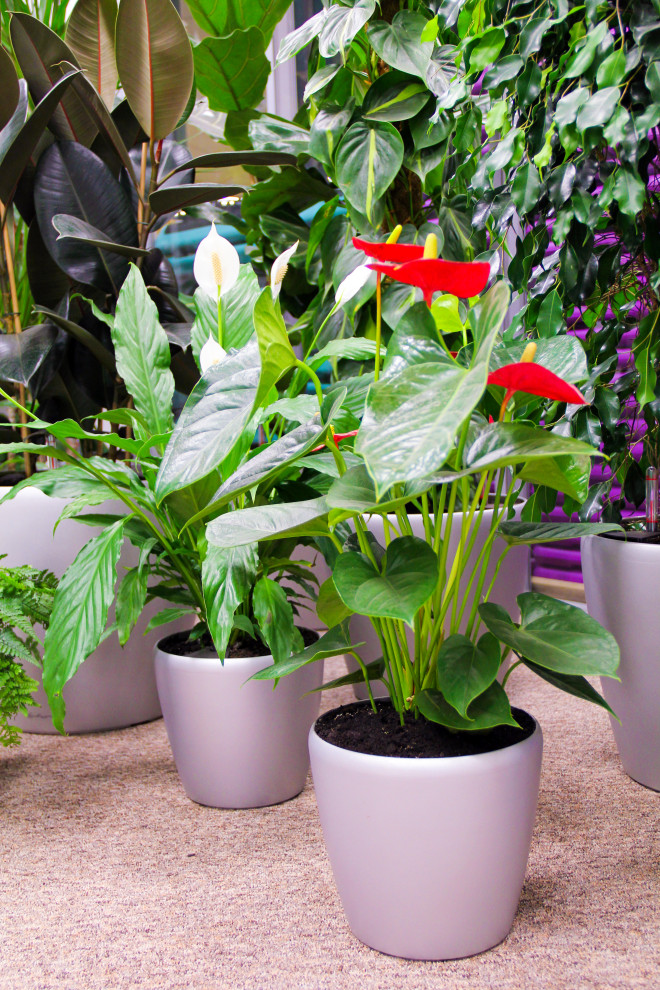 Калуга, Сбербанк, 2010 г.