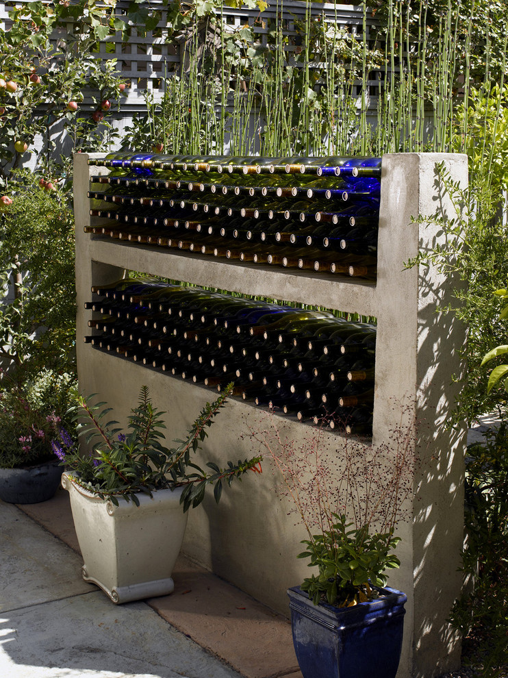 Inspiration for a contemporary garden in San Francisco with a container garden.
