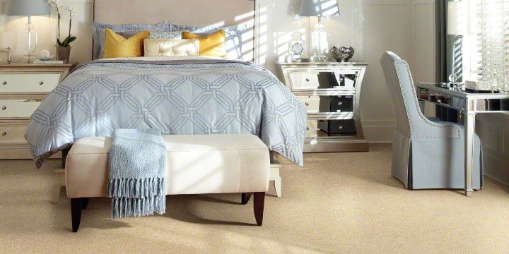 Example of a large transitional master carpeted and beige floor bedroom design with white walls and no fireplace