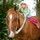 Last commented by Karen Jurgensen (Zone 4 MN)