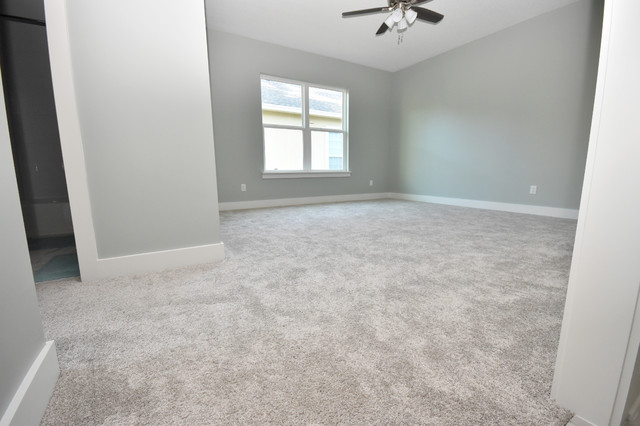 Carpet contemporary-bedroom