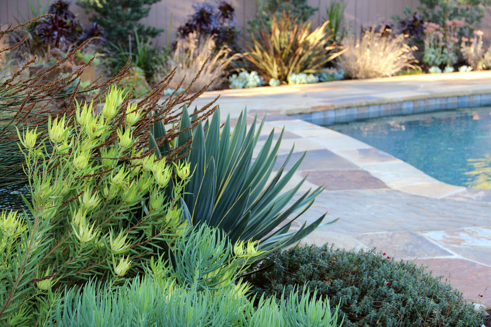 Contemporary garden in Los Angeles with natural stone pavers.
