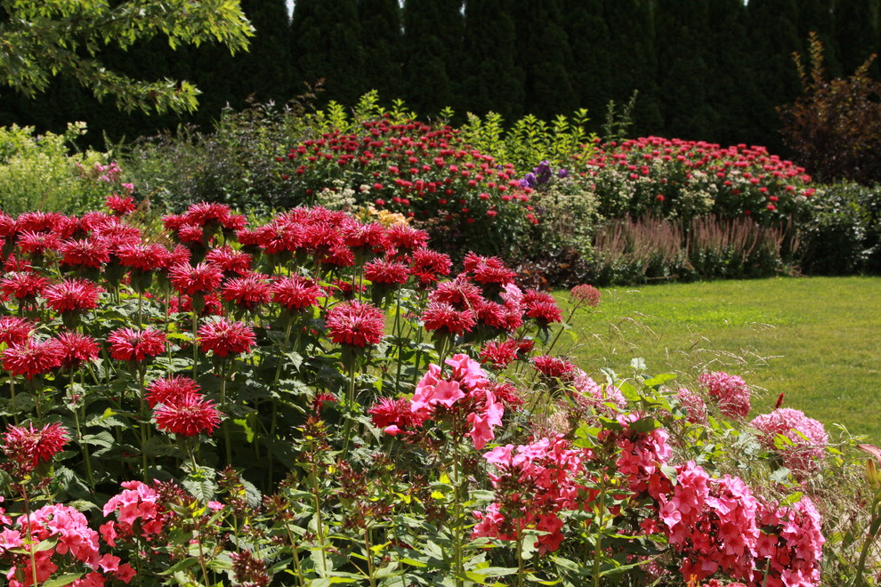 Малиновый этюд