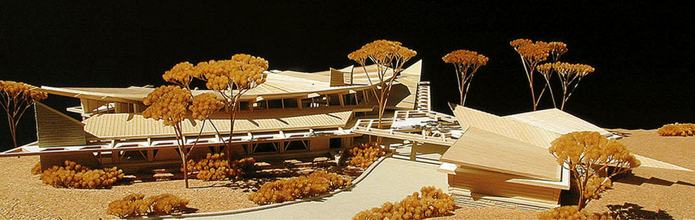 'Shooting Stars' Unbuilt Projects
