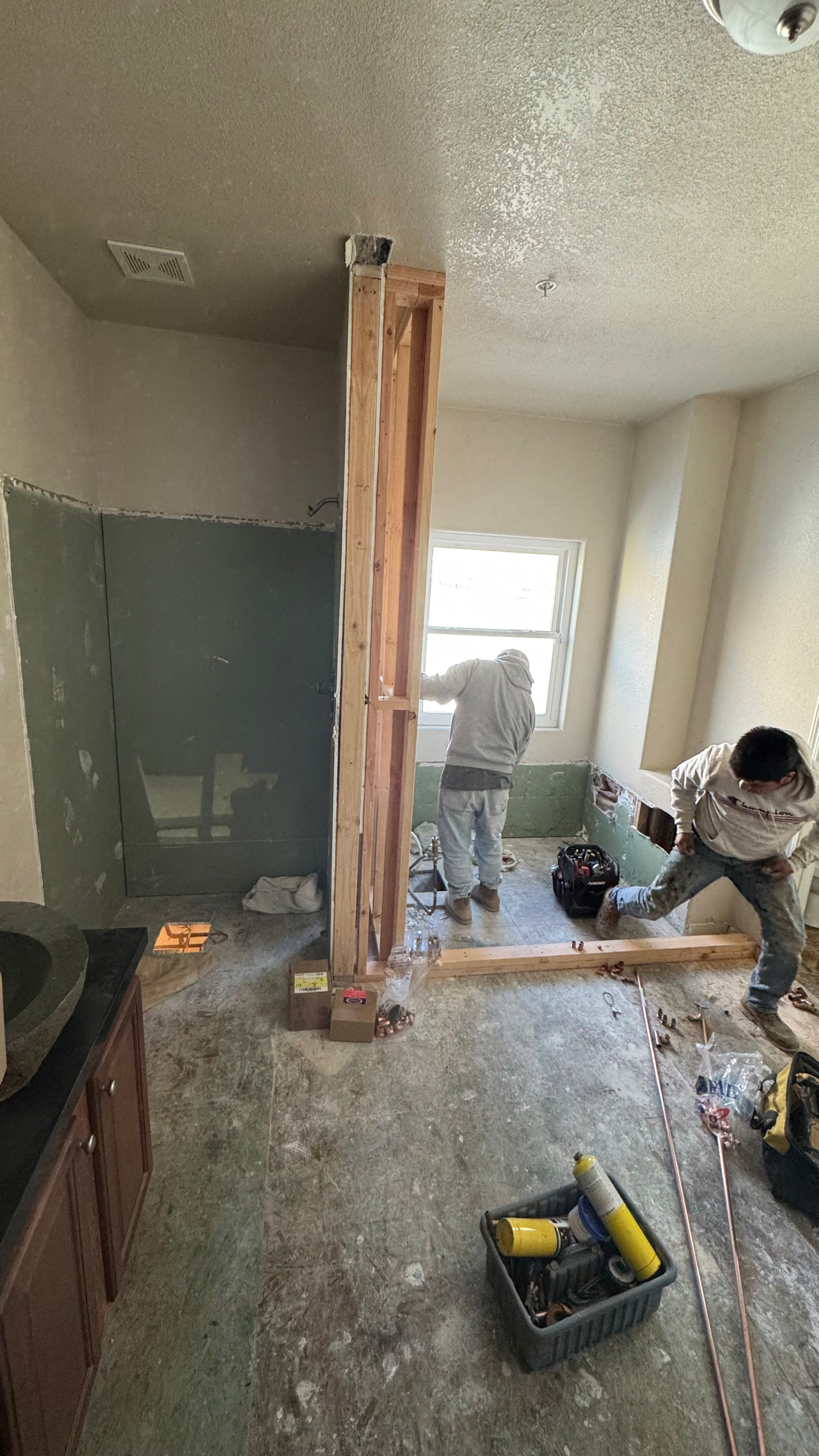 Master bathroom remodeling - Acton